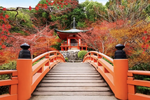 Review tour du lịch Japan Unique Autumn - Ngắm mùa thu Nhật Bản cùng Easy Trip