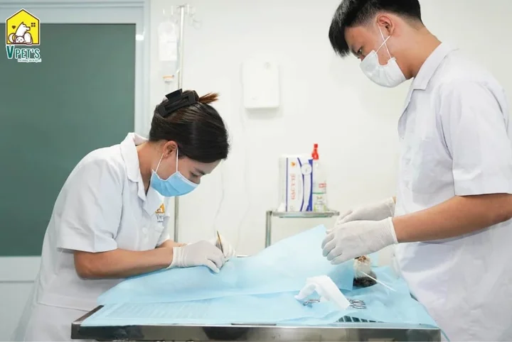 Top phòng khám thú cưng uy tín tại TP HCM