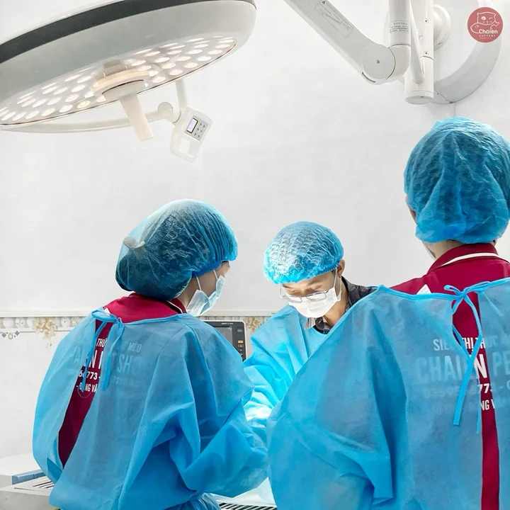 Review Chaien Cattery - Pet Shop & Vet Clinic: Phòng khám thú y hiện đại và uy tín nhất Cần Thơ