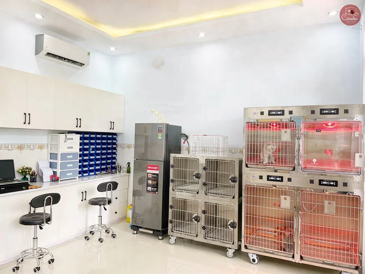Review Chaien Cattery - Pet Shop & Vet Clinic: Phòng khám thú y hiện đại và uy tín nhất Cần Thơ