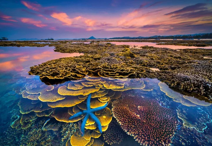 Review Phú Yên - những điểm du lịch đẹp không thể bỏ qua