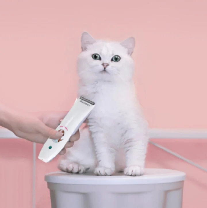 Review địa chỉ cắt tỉa lông làm đẹp cho Thú Cưng Uy Tín Tại TPHCM