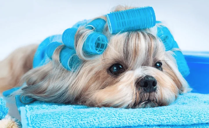 Review spa thú cưng uy tín chất lượng giá rẻ TP HCM