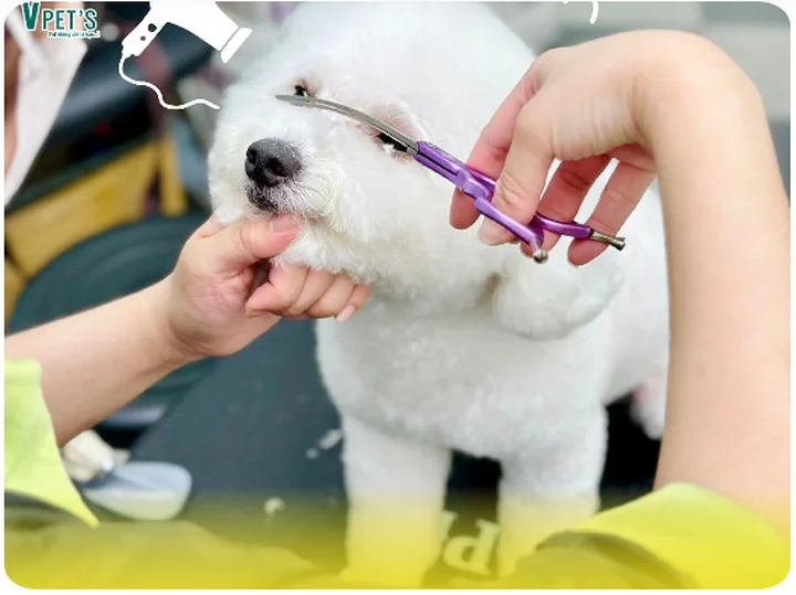 Review spa thú cưng uy tín chất lượng giá rẻ TP HCM