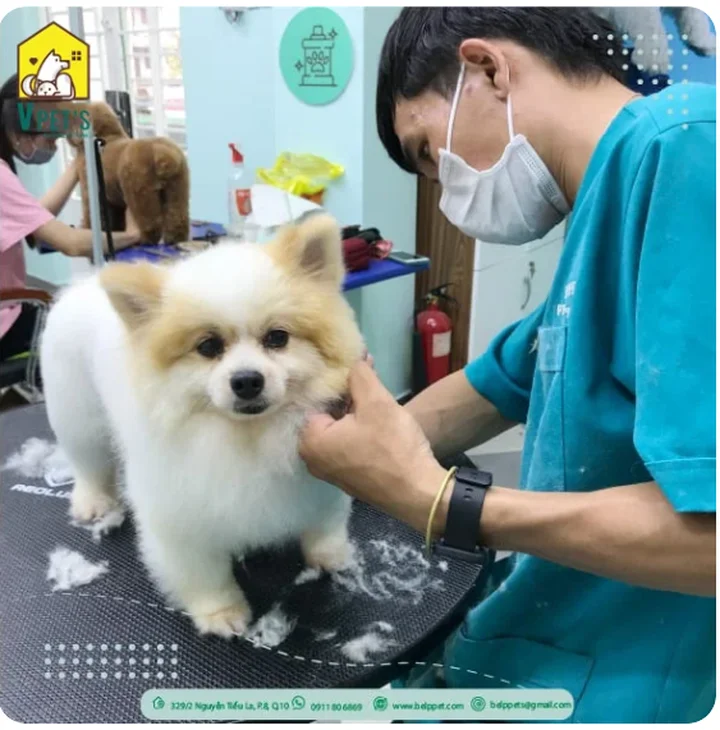 Review spa thú cưng uy tín chất lượng giá rẻ TP HCM