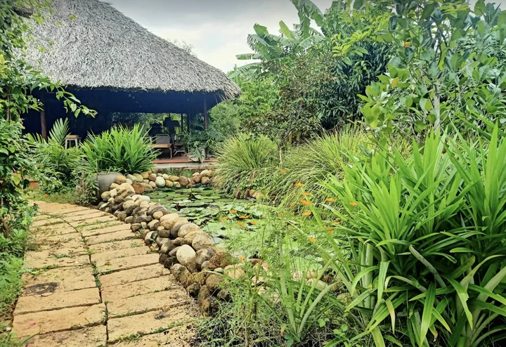 Khu nghỉ dưỡng chữa lành tại Vũng Tàu cho bạn và gia đình - Review Phúc An Garden Home Sweet Home