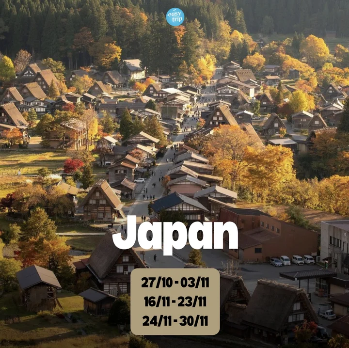 Review tour du lịch Japan Unique Autumn - Ngắm mùa thu Nhật Bản cùng Easy Trip