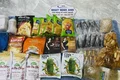 Dịch vụ gửi hàng quốc tế uy tín - Review Nhật Minh Anh Logistics
