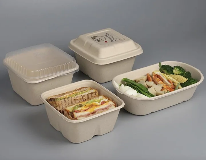 Review sản phẩm từ bã mía của Hunufa Compostable