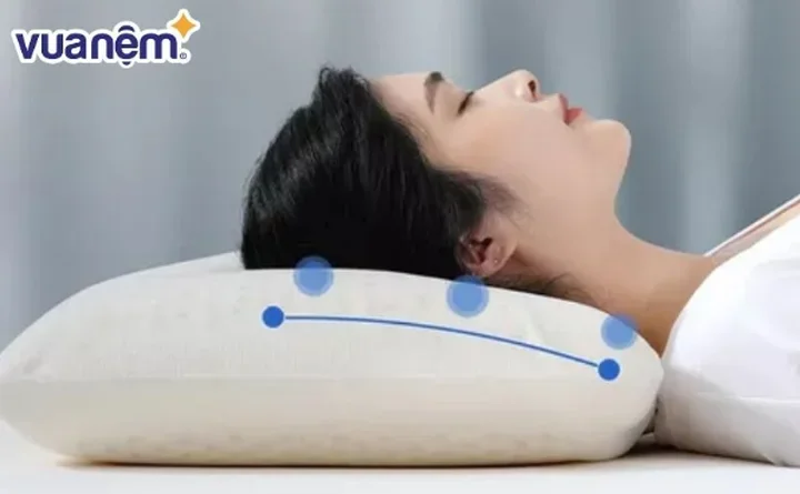 Gối lông vũ hay gối cao su: Lựa chọn nào tốt cho giấc ngủ của bạn?