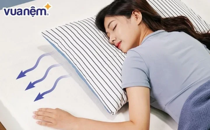 Gối lông vũ hay gối cao su: Lựa chọn nào tốt cho giấc ngủ của bạn?