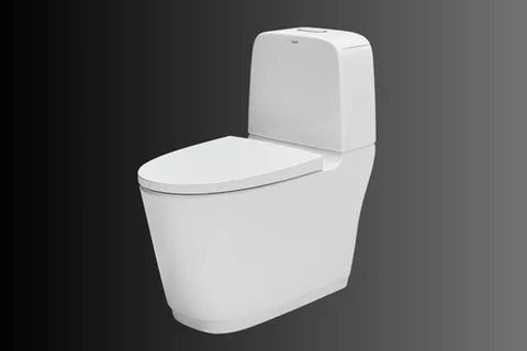 Các loại bồn cầu vệ sinh phổ biến và tốt nhất hiện nay