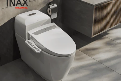 Giải Đáp Chi Tiết: Mua Bồn Cầu INAX tại Banletaikho Có Uy Tín Không?
