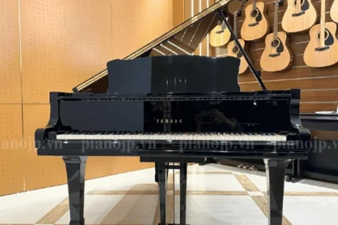 LCPiano - Tổng kho đàn Piano Japan nhập khẩu chính hãng tại Việt Nam