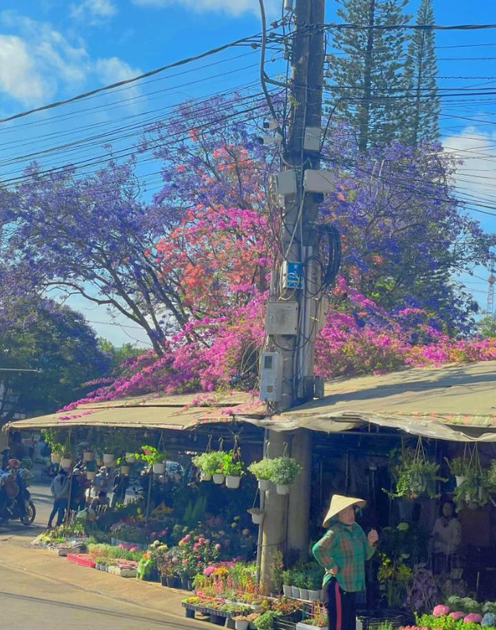 Khách sạn White Horse - điểm dừng chân lý tưởng khi đi du lịch và nghỉ dưỡng ở Đà Lạt