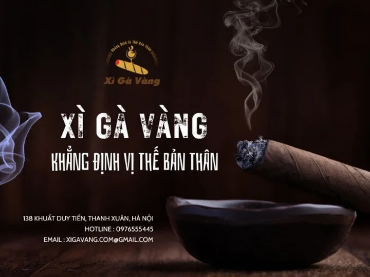 Review top 5 địa chỉ bán xì gà chính hãng ở TP. HCM uy tín trên thị trường