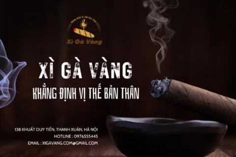 Review top 5 địa chỉ bán xì gà chính hãng ở TP. HCM uy tín trên thị trường