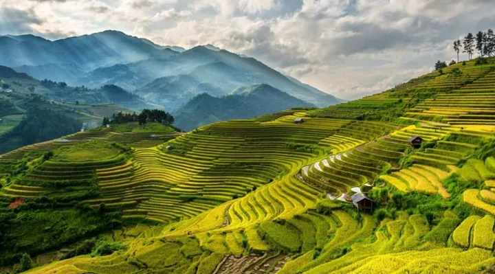 Comprehensive filming support services in Vietnam by expert local fixers