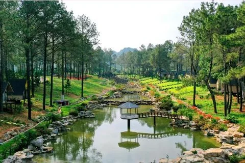 Review khách sạn Phoenix Mộc Châu - Sơn La - nghĩ dưỡng giữa thiên nhiên