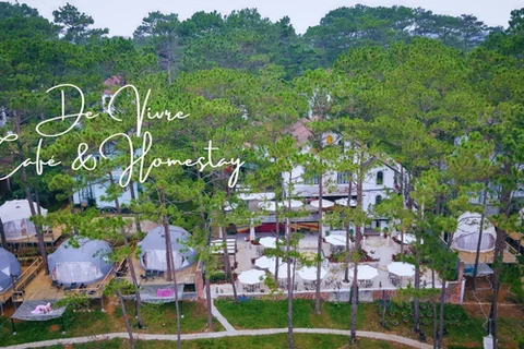 Review De Vivre Homestay - Nơi nghỉ dưỡng hòa mình vào thiên nhiên Măng Đen