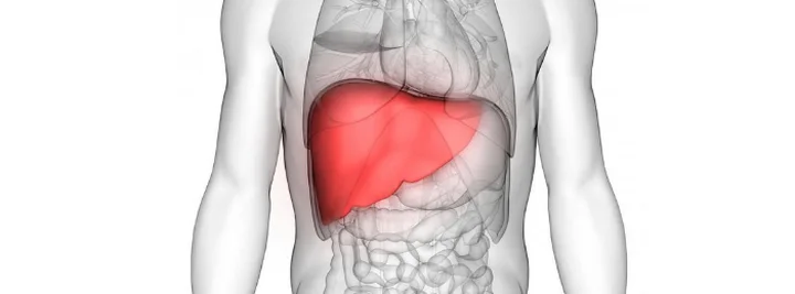 Review Liver Detox - viên uống bổ gan và thải độc gan của Úc - Liver Detox có tốt không?
