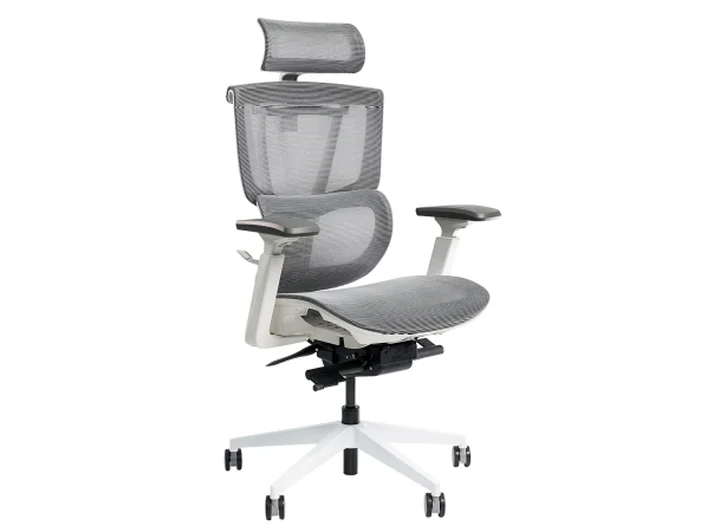 Review Ghế Công Thái Học Hot Nhất Hiện Nay: Nhìn Từ Góc Độ Nhân Viên Văn Phòng