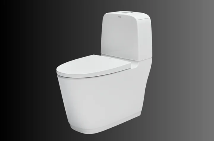 Các loại bồn cầu vệ sinh phổ biến và tốt nhất hiện nay