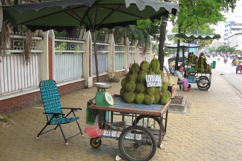 Giá Sầu Riêng Tháng 9/2026: Vì Sao Rẻ, Nên Mua Giống Nào