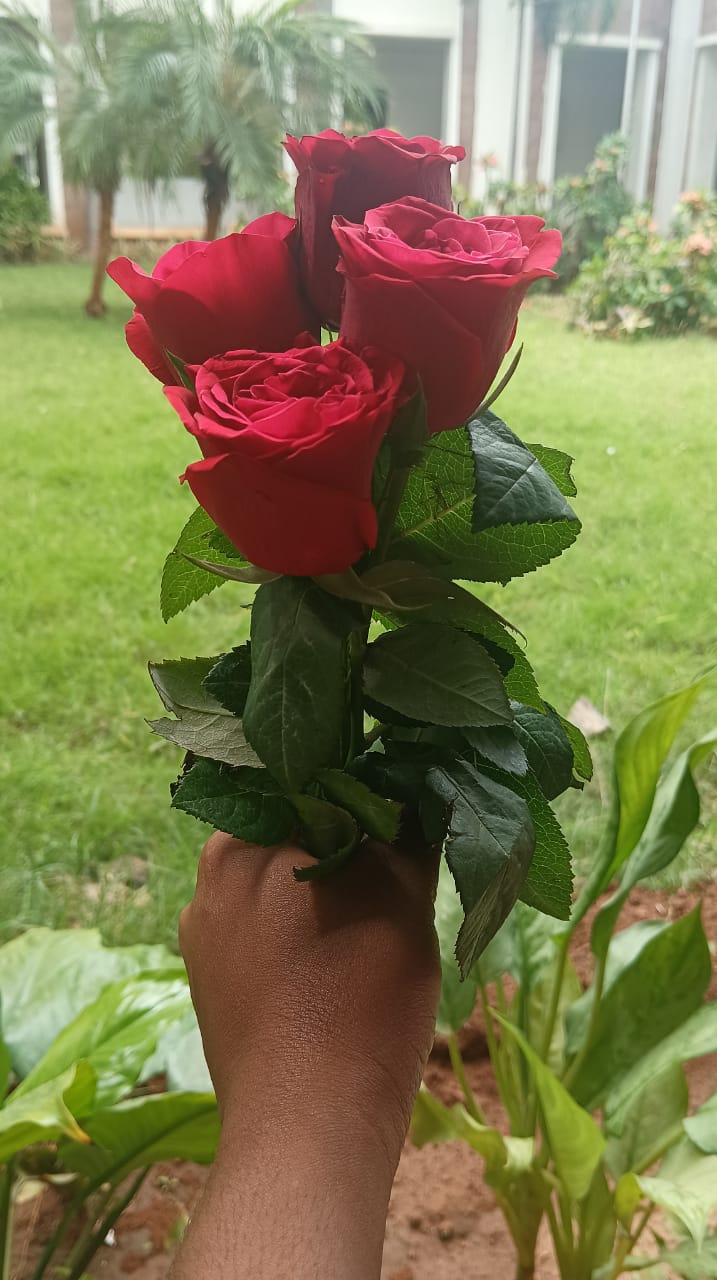 Tay cầm bó hoa hồng đỏ